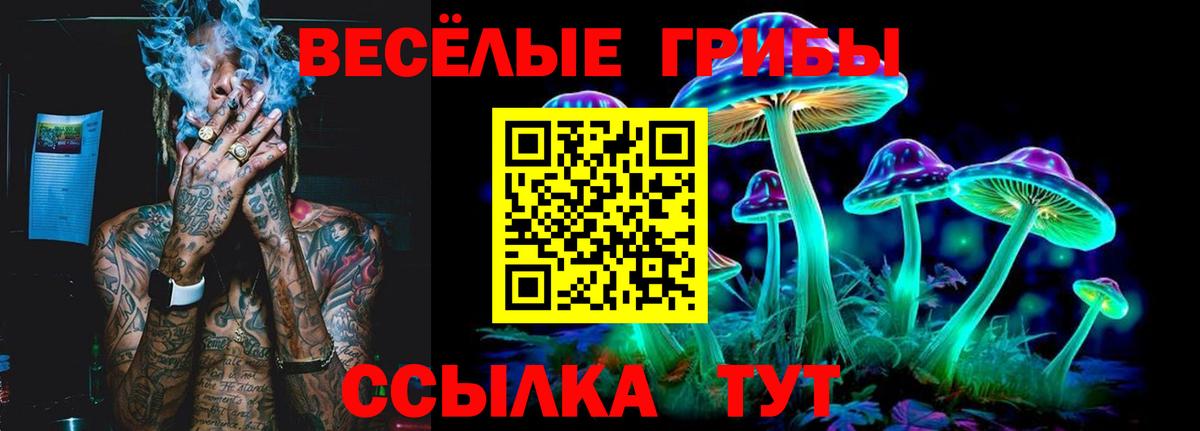 цены наркотик  Псилоцибиновые грибы мухоморы  Вход с VPN  Благовещенск  Галлюциногенные грибы мицелий 